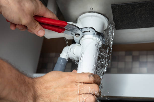 Best Ceiling water damage repair  in Brownstown, PA