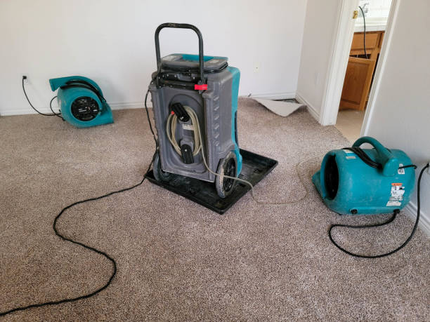 Professional Water damage restoration in Brownstown, PA