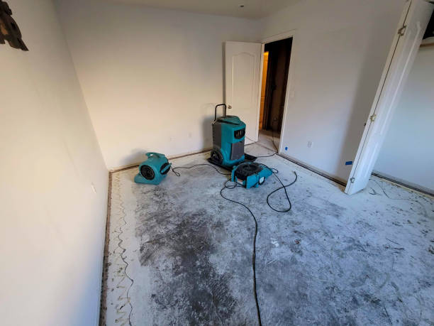Best Sewage cleanup and water damage restoration  in Brownstown, PA